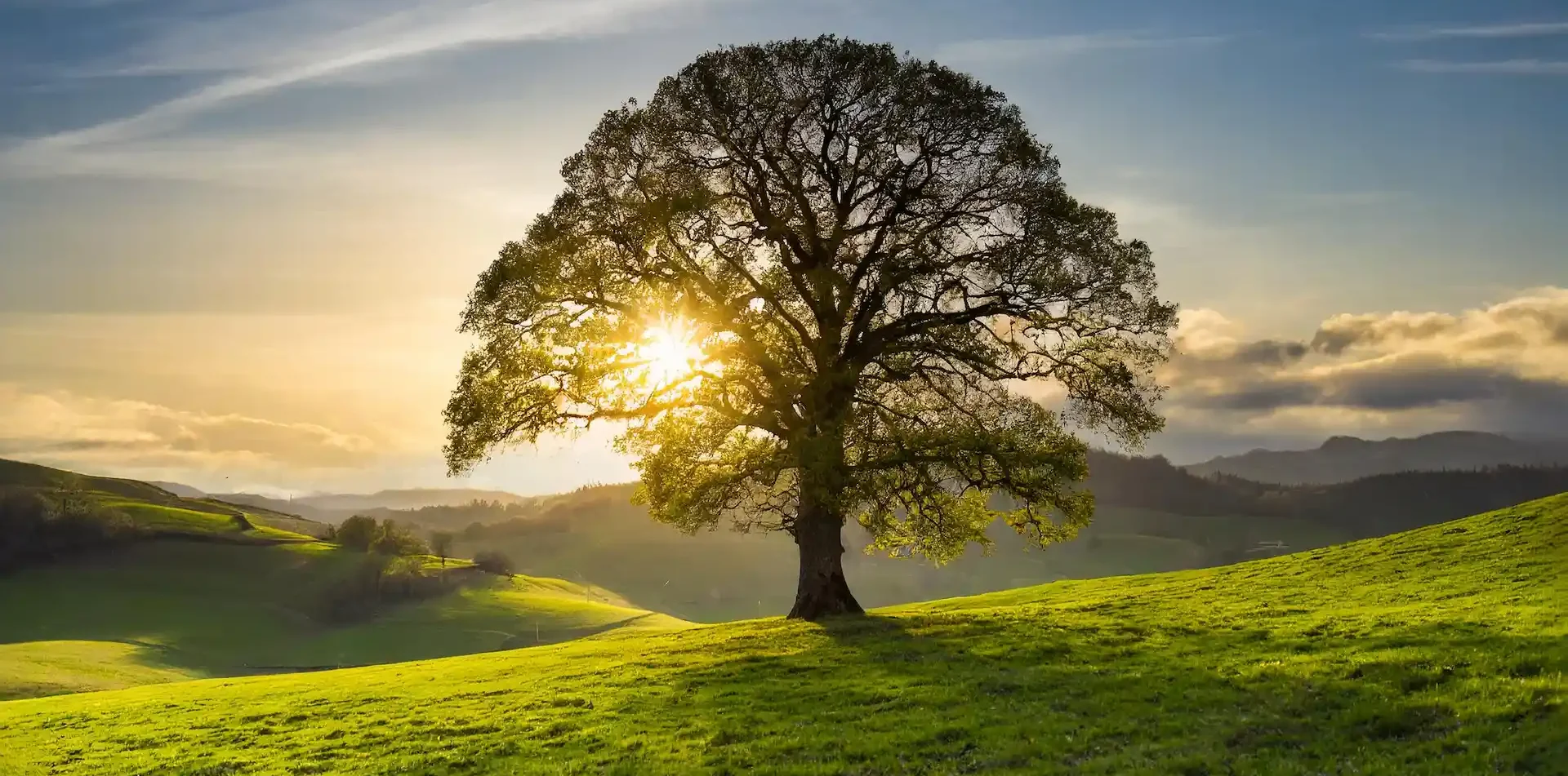 Coach Hotels - experts en communication hôtelière