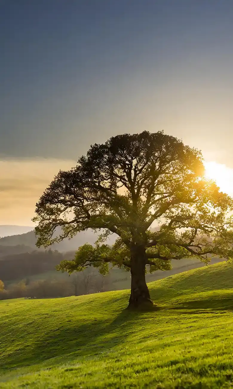 Coach Hotels - experts en communication hôtelière